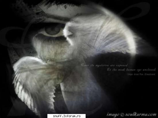 9 black & withe angels